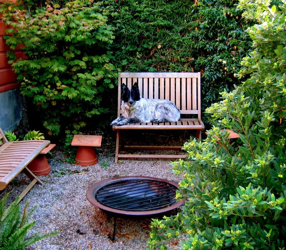 Professional garden landscaping in San Francisco, CA by Second Nature Design