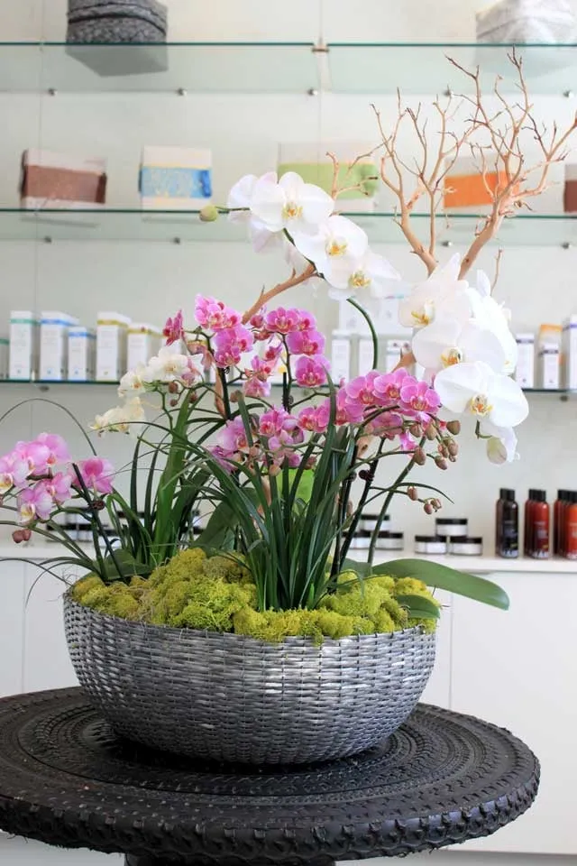 Reliable landscape installation near you across Cotati, CA - Second Nature Interior Plant Company