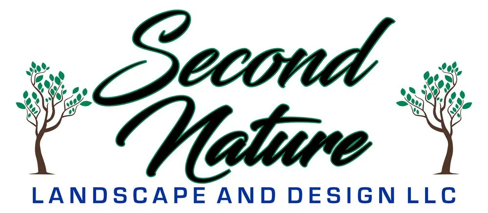 Affordable lawn care service for outdoor upgrades in Carrollton, GA by Second Nature Landscape & Design - formerly Fletchers