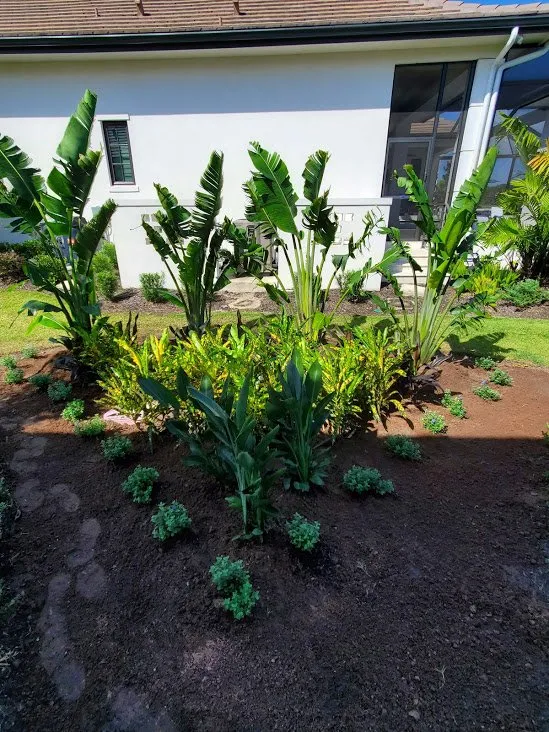 Affordable landscape installation in Sarasota, FL by Second Nature Landscape Management