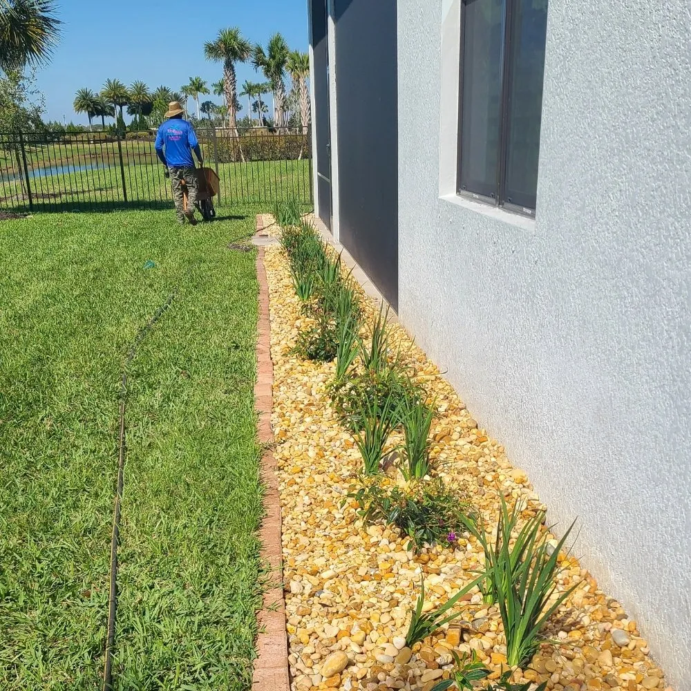 Reliable yard maintenance for year-round maintenance in Sarasota, FL by Second Nature Landscape Management