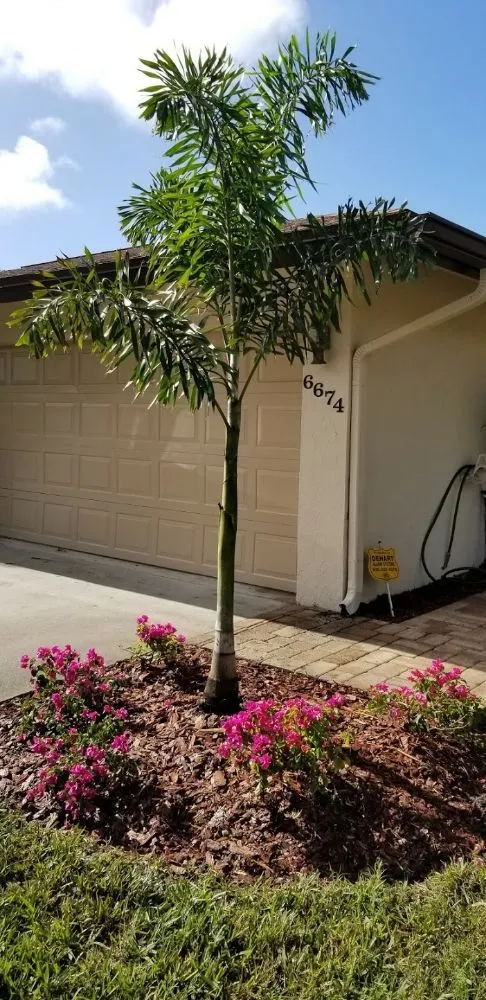 Top-rated landscape design for outdoor upgrades across Sarasota, FL - Second Nature Landscape Management