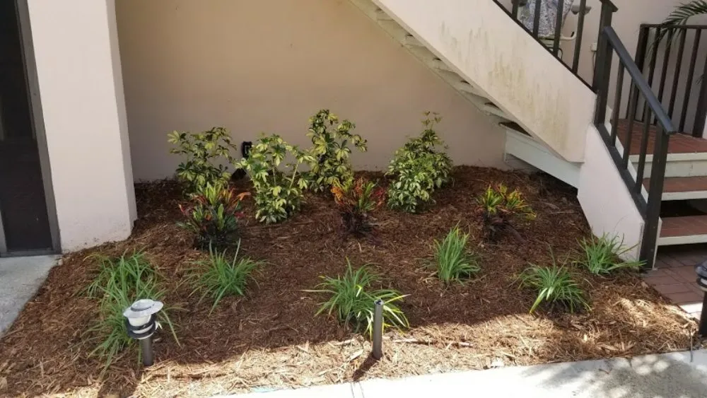 Professional residential landscaping for residential properties in Sarasota, FL by Second Nature Landscape Management