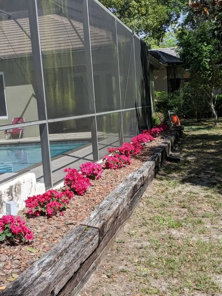 Expert landscape installation for outdoor upgrades in Sarasota, FL by Second Nature Landscape Management