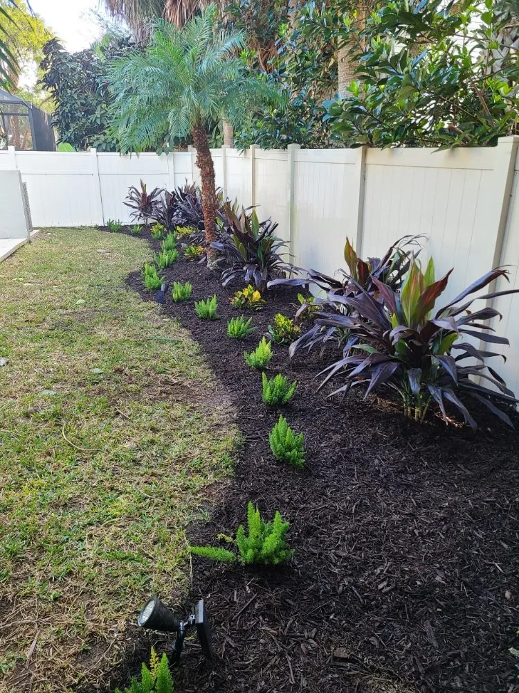 Trusted landscape installation for beautiful yards in Sarasota, FL by Second Nature Landscape Management