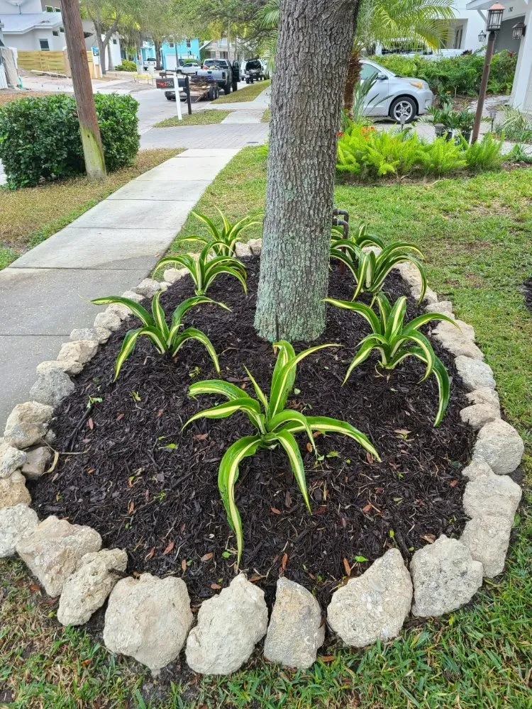 Top-rated yard maintenance experts serving Sarasota, FL - Second Nature Landscape Management