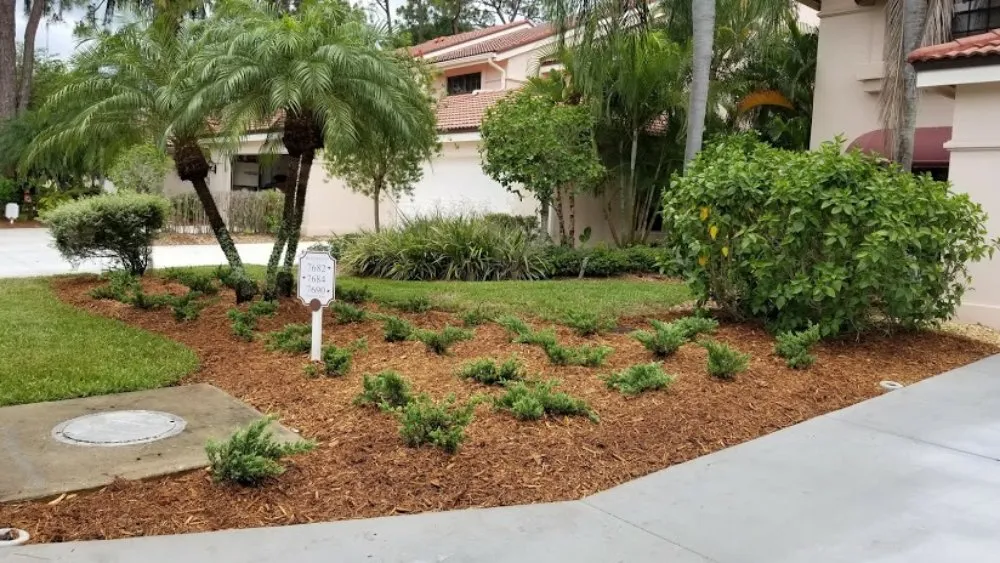 Custom garden landscaping in Sarasota, FL - Second Nature Landscape Management