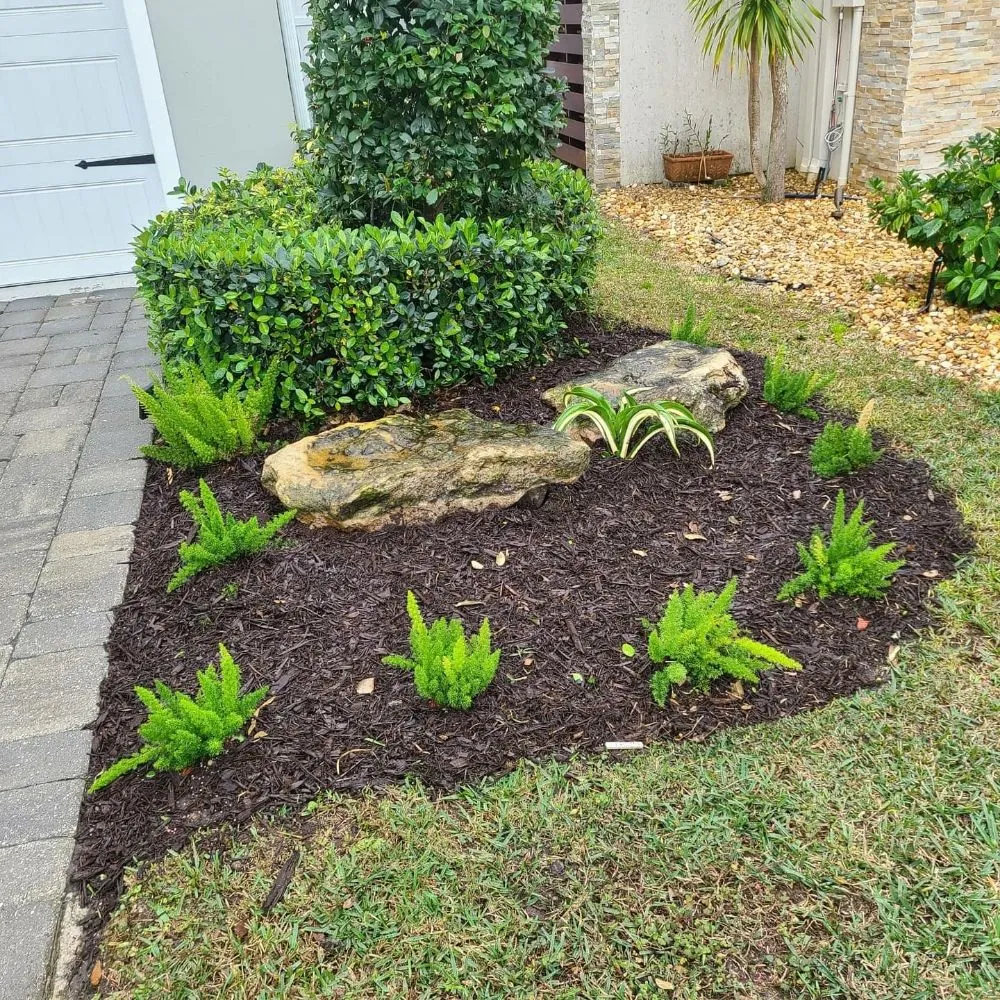 Expert landscape installation experts serving Sarasota, FL - Second Nature Landscape Management