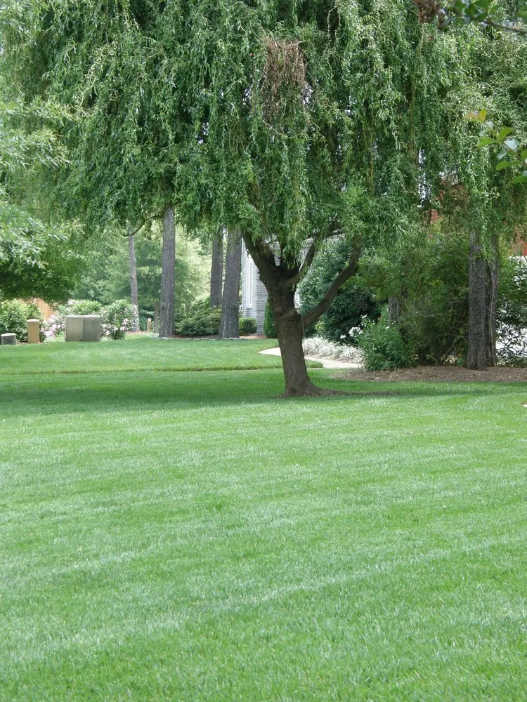 Reliable garden landscaping experts serving Virginia Beach, VA - Second Nature Landscaping & Guaranteed Greener Grass