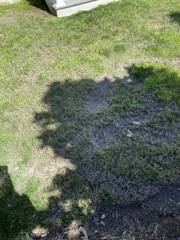 Trusted residential landscaping in Virginia Beach, VA by Second Nature Landscaping & Guaranteed Greener Grass