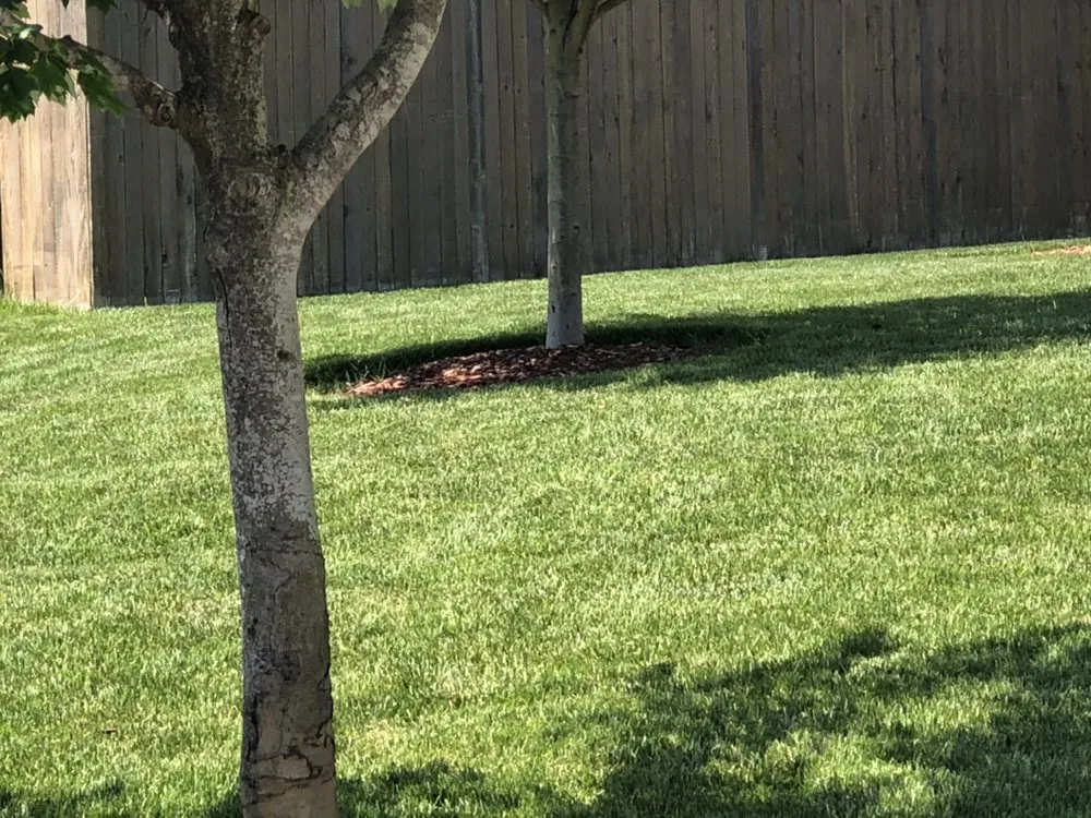 Professional residential landscaping for year-round maintenance in Virginia Beach, VA by Second Nature Landscaping & Guaranteed Greener Grass