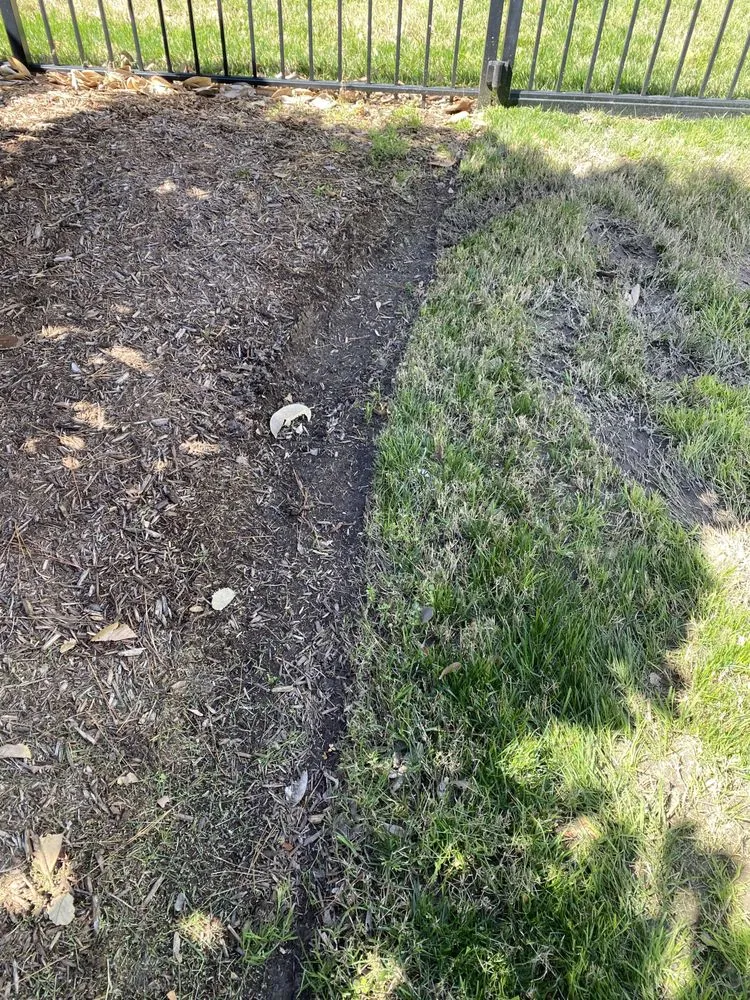 Top-rated lawn mowing service in Virginia Beach, VA by Second Nature Landscaping & Guaranteed Greener Grass