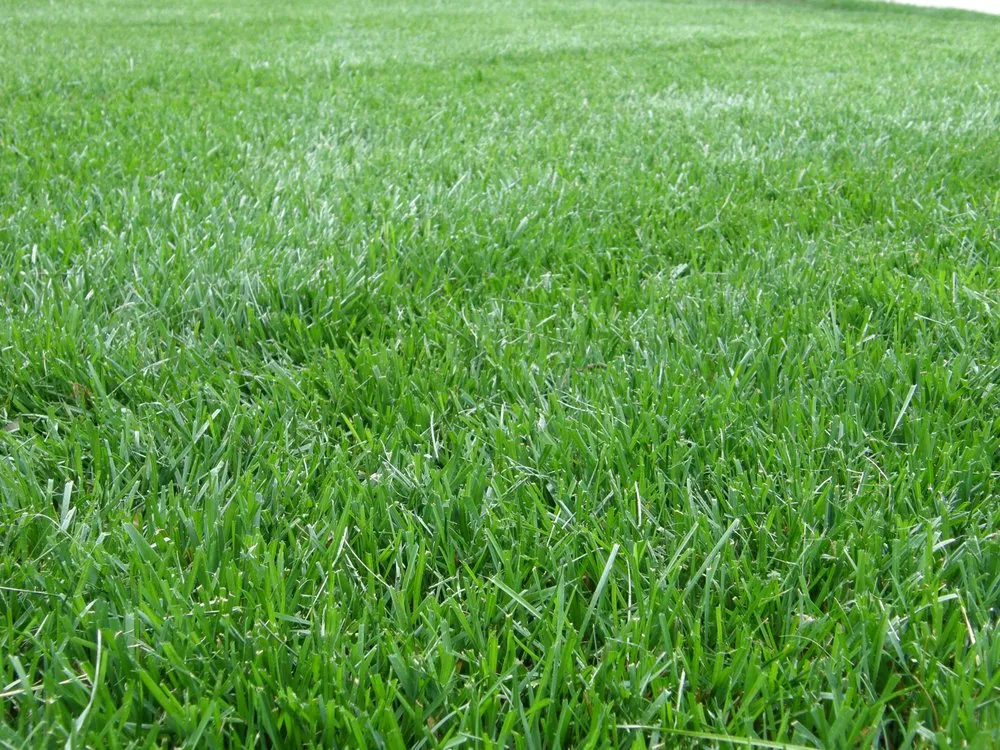 Expert landscape installation with custom design across Virginia Beach, VA - Second Nature Landscaping & Guaranteed Greener Grass