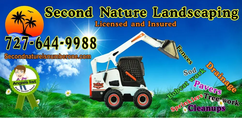 Top-rated residential landscaping in Saint Petersburg, FL by Second Nature Landscaping