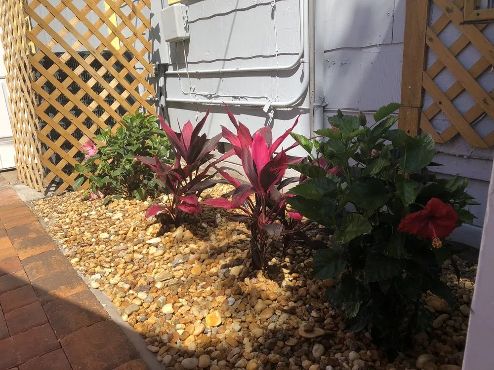 Expert yard cleanup service for homes in Saint Petersburg, FL by Second Nature Landscaping