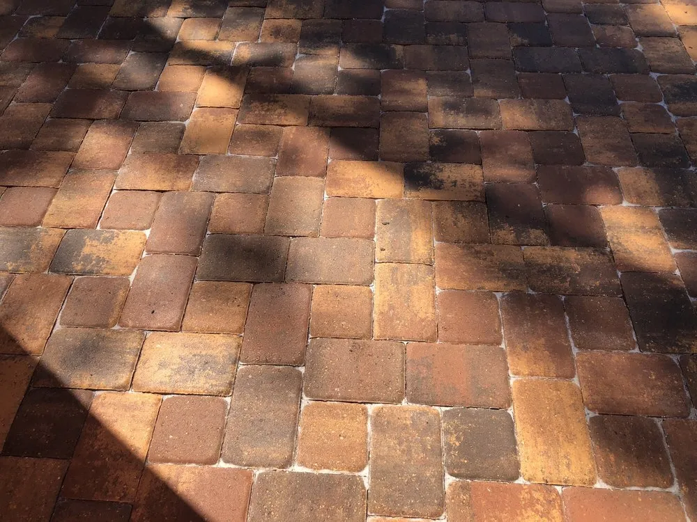 Expert residential landscaping near you across Saint Petersburg, FL - Second Nature Landscaping