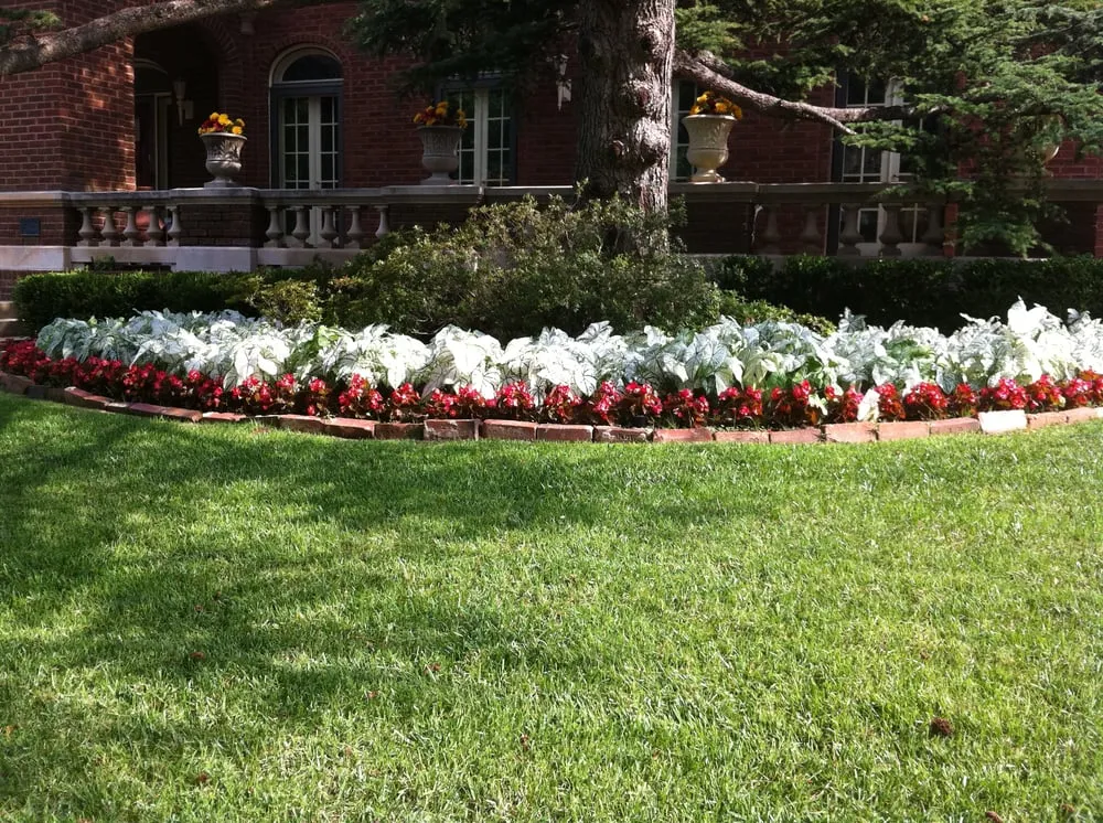 Local residential landscaping experts serving Oklahoma City, OK - Second Nature Lawn and Landscape