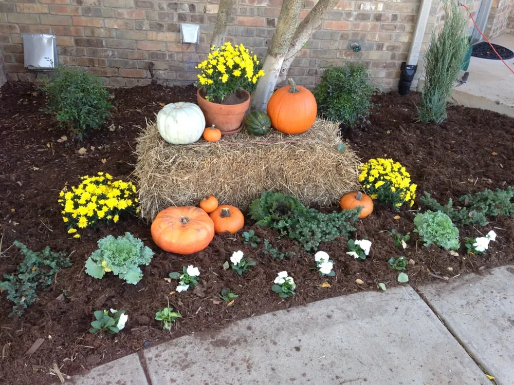 Top-rated lawn mowing service in Oklahoma City, OK - Second Nature Lawn and Landscape