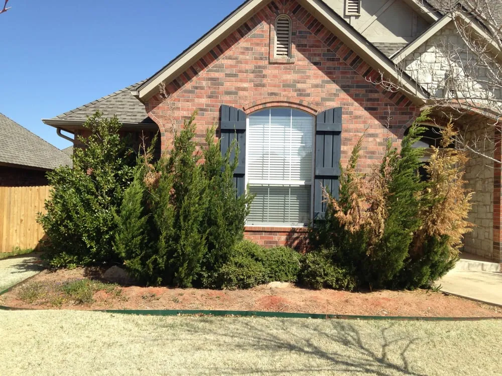 Reliable landscape installation in Oklahoma City, OK - Second Nature Lawn and Landscape