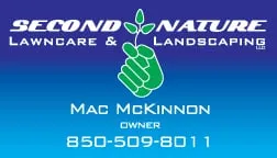 Custom yard maintenance for residential properties in Tallahassee, FL by Second Nature Lawn Care and Landscaping