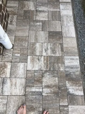 Second Nature Lawn Care and Landscaping