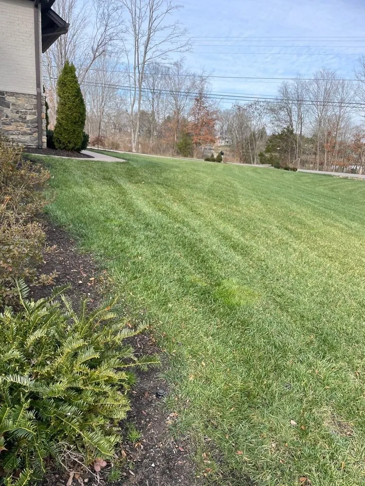 Professional landscape installation in Thompsons Station, TN - Second Nature Lawn Care
