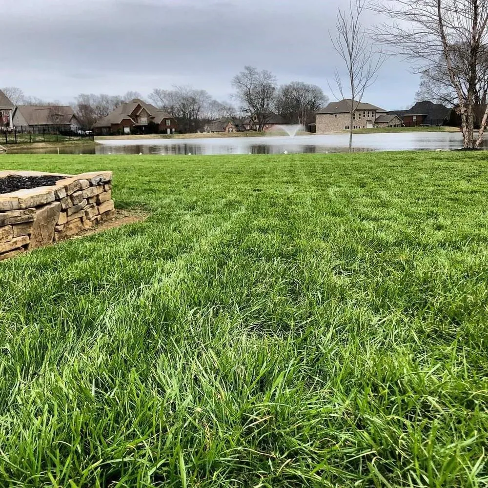 Local yard maintenance experts serving Thompsons Station, TN - Second Nature Lawn Care