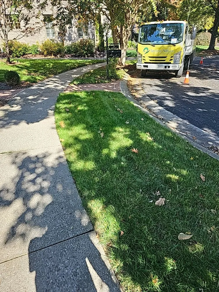 Professional residential landscaping in Thompsons Station, TN - Second Nature Lawn Care