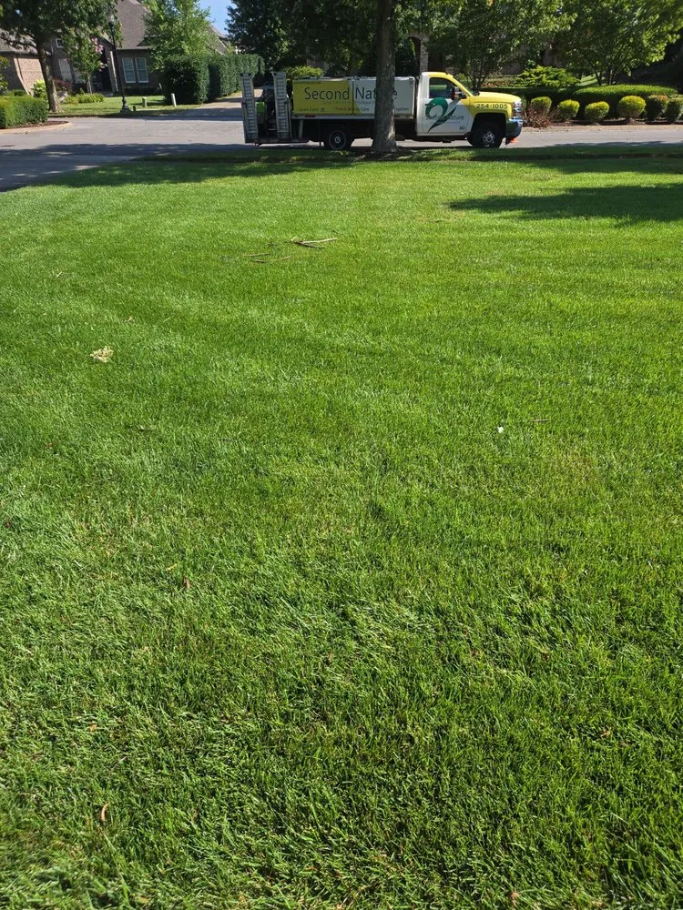 Reliable landscape installation near you across Thompsons Station, TN - Second Nature Lawn Care