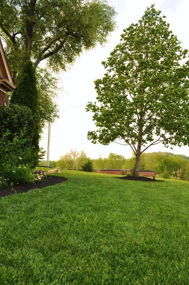 Trusted yard cleanup service experts serving Thompsons Station, TN - Second Nature Lawn Care