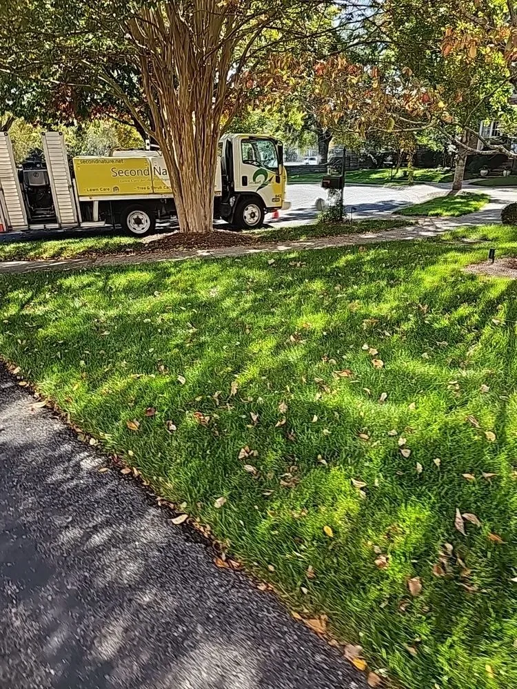 Local lawn care service experts serving Thompsons Station, TN - Second Nature Lawn Care