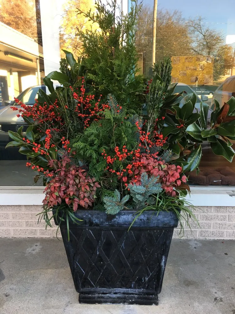 Reliable lawn care service experts serving Newburgh, IN - Second Nature