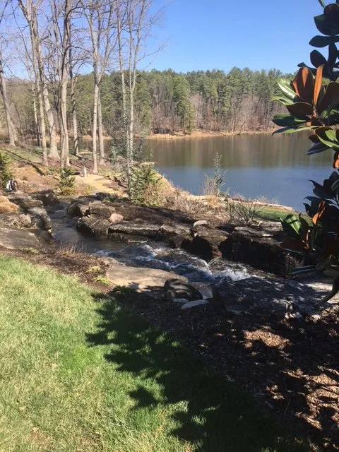 Top-rated lawn care service experts serving Newburgh, IN - Second Nature