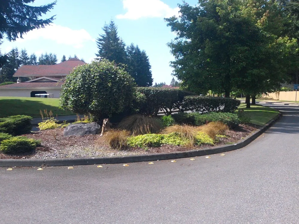 Top-rated yard cleanup service with custom design in Spanaway, WA by Second Nature Services