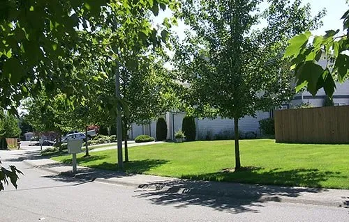 Trusted yard maintenance experts serving Spanaway, WA - Second Nature Services