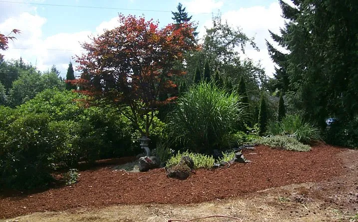 Reliable yard cleanup service for homes in Spanaway, WA by Second Nature Services