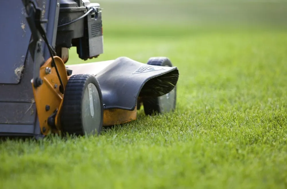 Top-rated lawn care service for year-round maintenance in Spanaway, WA by Second Nature Services