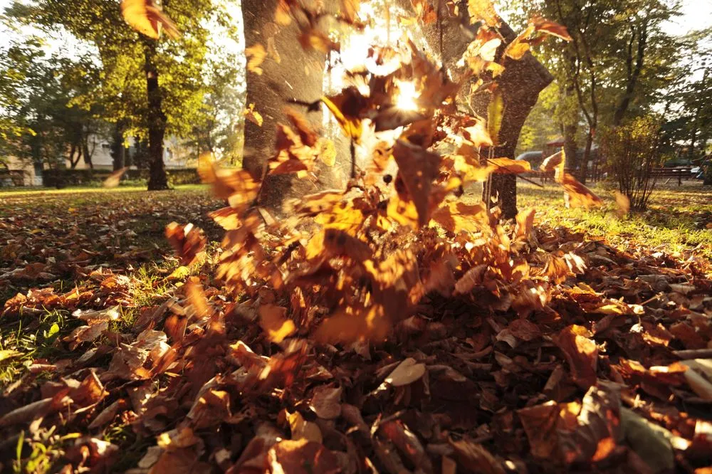 Custom garden landscaping with custom design in Spanaway, WA by Second Nature Services