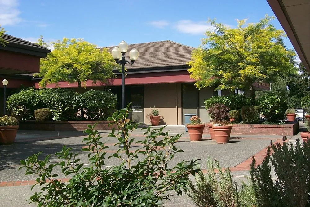 Professional yard cleanup service in Spanaway, WA - Second Nature Services