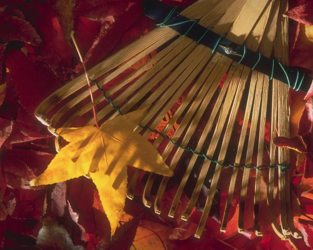 Expert garden landscaping near you across Spanaway, WA - Second Nature Services