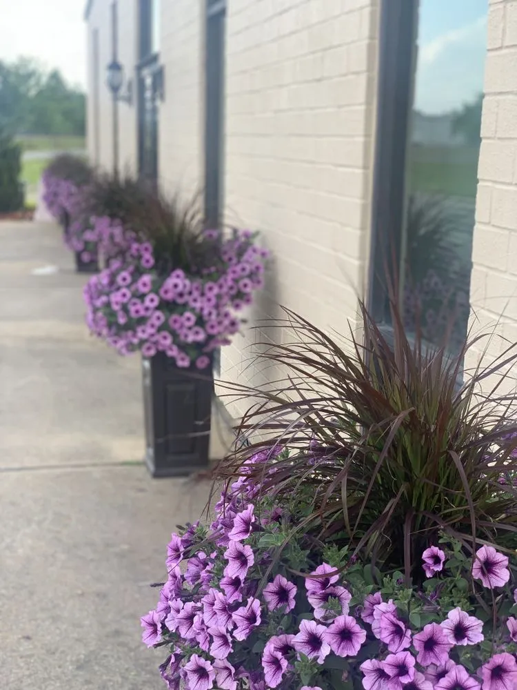 Reliable yard cleanup service experts serving Goldsboro, NC - Second Spring Lawn and Garden