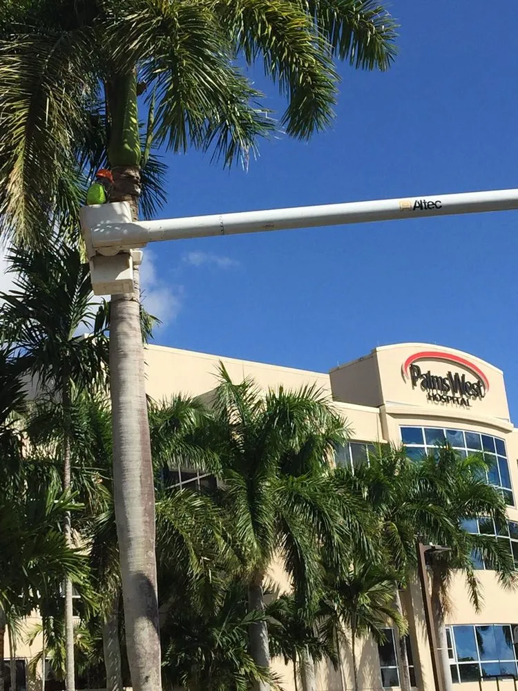 Custom garden landscaping for homes across Coconut Creek, FL - Second to None Landscaping & Trees