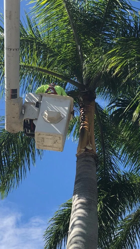 Custom garden landscaping for beautiful yards in Coconut Creek, FL by Second to None Landscaping & Trees