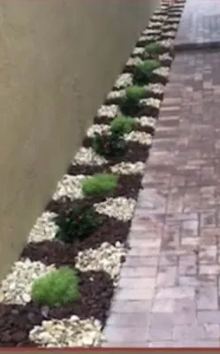 Secret Beauty Landscaping Logo