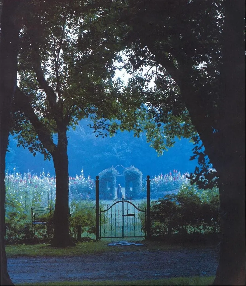 Affordable garden landscaping in Port Charlotte, FL - Secret Garden Landscape Design