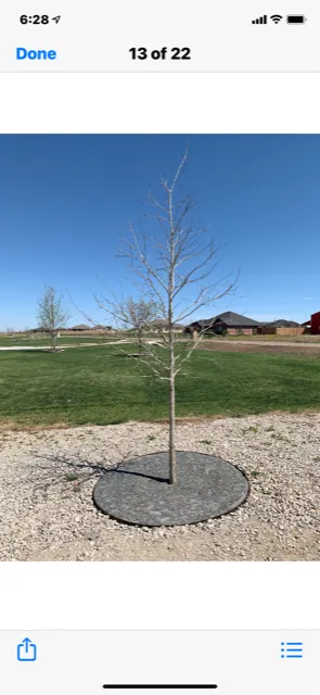 Custom yard maintenance in Amarillo, TX - Secret Gardener Landscape