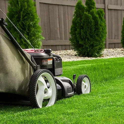 Trusted landscape installation in Summerville, SC by Secret Gardens Landscape of Charleston