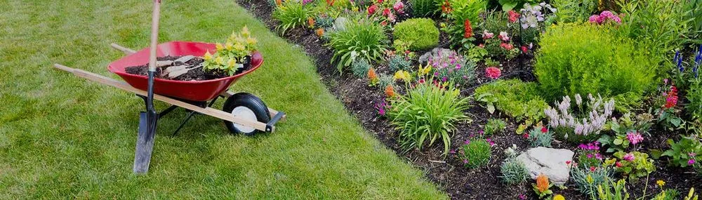 Affordable residential landscaping near you in Summerville, SC by Secret Gardens Landscape of Charleston