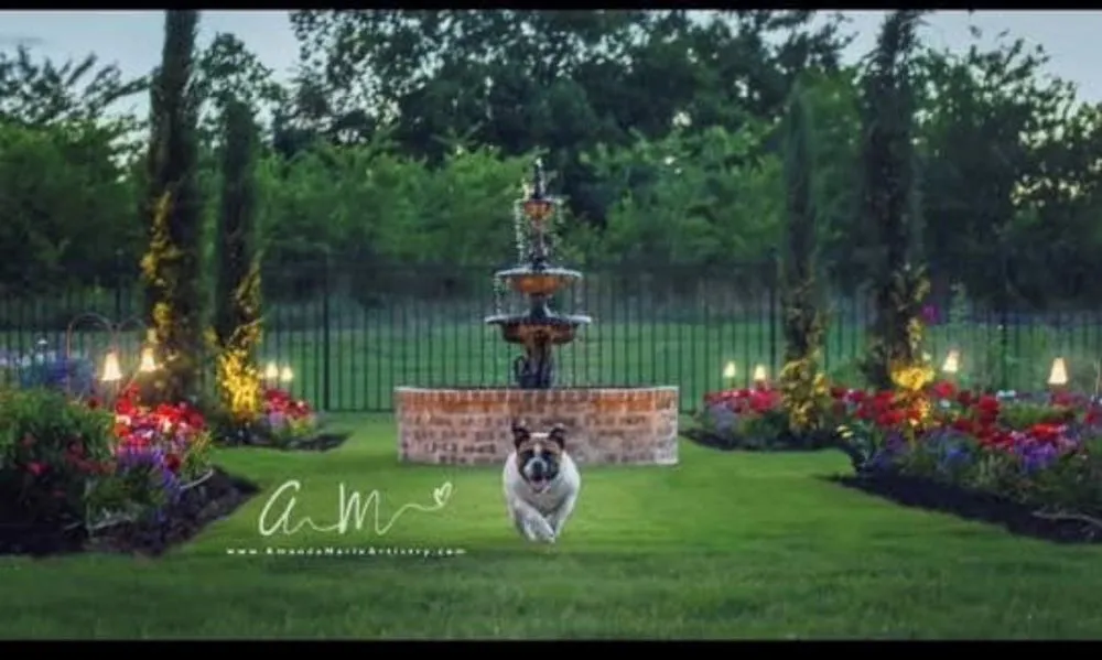 Reliable garden landscaping for residential properties across McKinney, TX - Secret Gardens