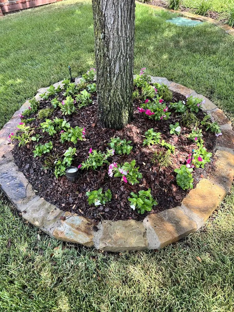 Top-rated landscaping services for residential properties across McKinney, TX - Secret Gardens